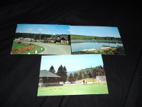 Fundy National Park Postcards - 4