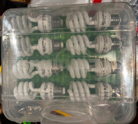LED and Compact Fluorescent Light Bulbs