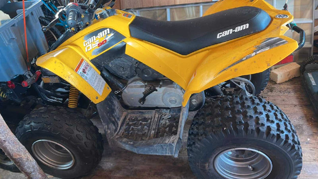 2016 Can -Am DS 90 in ATVs in St. John's