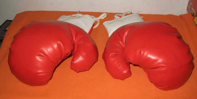 Boxing Cloves 12oz Weight - Great Condition. in Exercise Equipment in Edmonton - Image 2