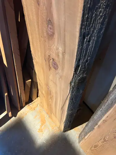 Buy and sell, View more