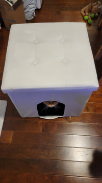 Kitten Litter Box / Bench with Lid (Cushion)
