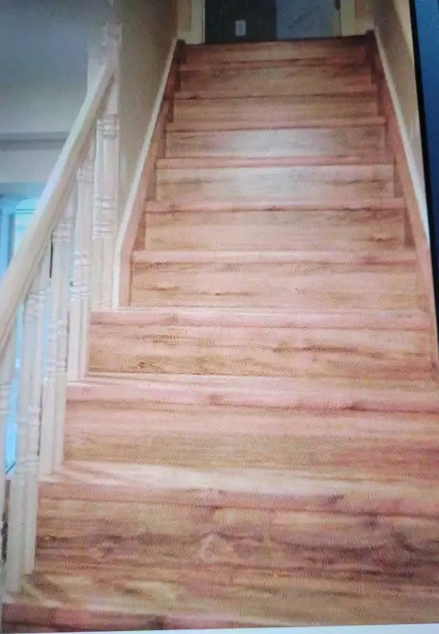 General construction / Renovations services 65561319539203122
