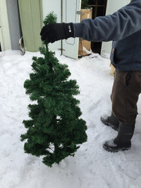 Need A Christmas tree? I have many for sale - from $5