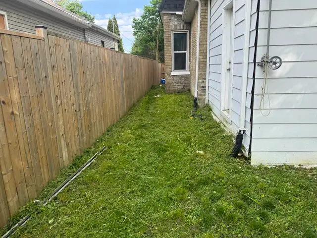 Grass Cutting529384748247296005