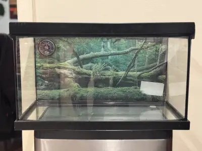 20 Gallon Aquarium (frame has burn damage, shown in pic) Comes with all the decor, lighting, cricket...