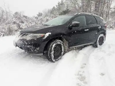 Price negotiable,won't tell you this or that it's simple low mileage very well maintained oil spraye...