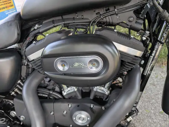 2014 Harley Davidson Sportster 883 in Street, Cruisers & Choppers in Mississauga / Peel Region - Image 8