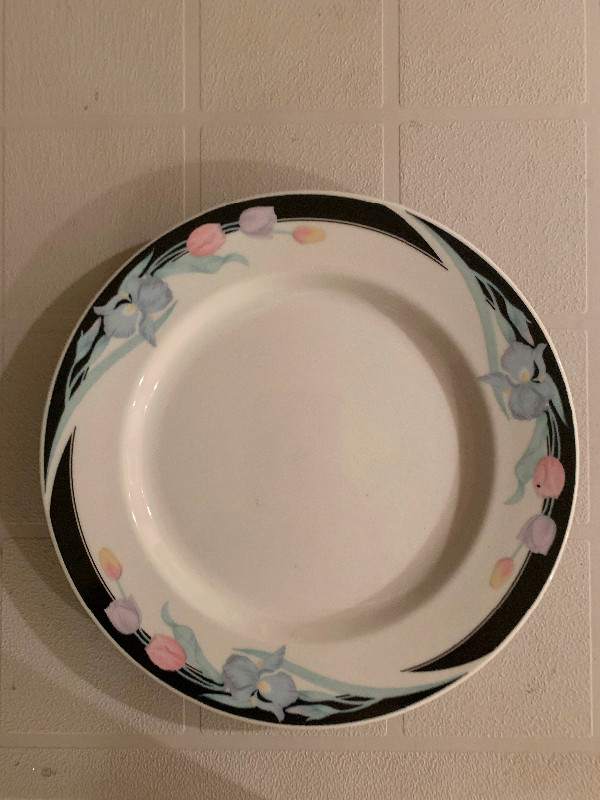 Dinner Plate Sets $100 for everything in Kitchen & Dining Wares in Hamilton - Image 4