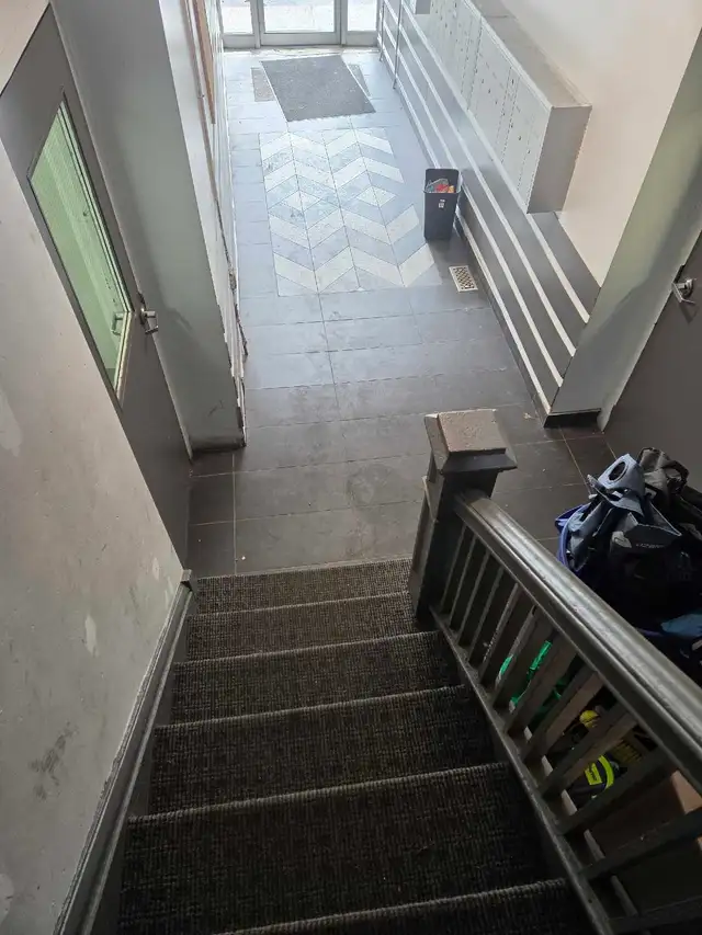 general cleaner/labourers545693891571240965