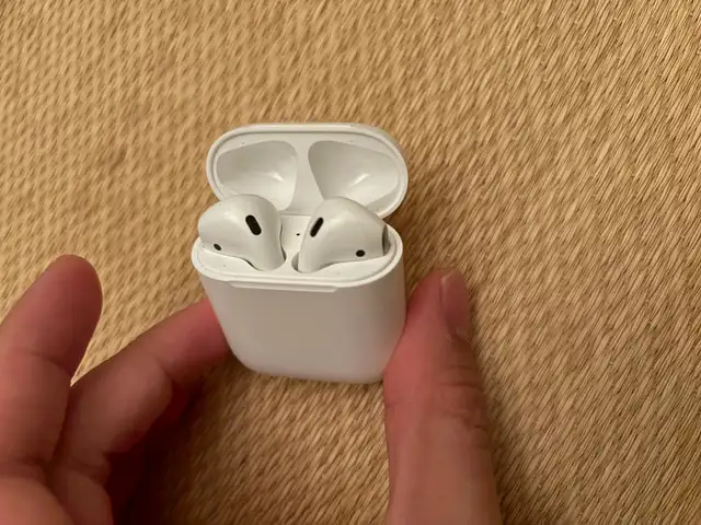 Apple Airpods2 in iPod & MP3 Accessories in Delta/Surrey/Langley - Image 3