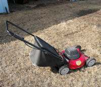 Lawn Mower    with   Bag