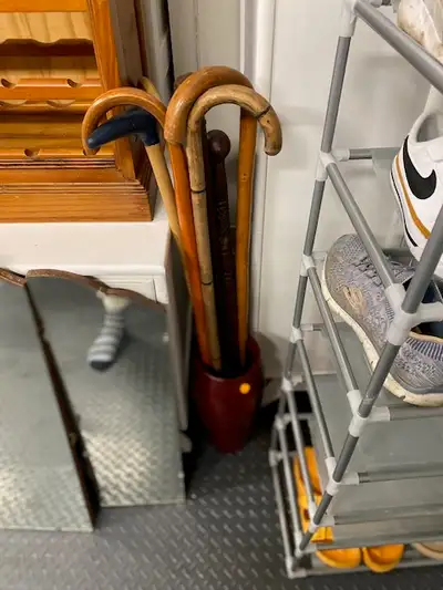 Lot of 8 canes, View more