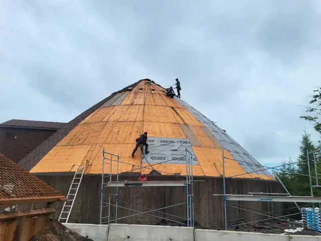 Professional, insured roofing services62863712762754122
