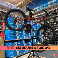 Bicycle Tune Up