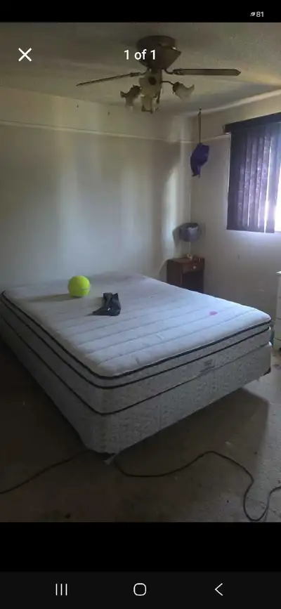 Single large room for rent suitable for student or working mature female or male