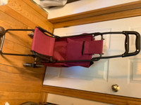 Bundle Buddy Folding Shopping Cart with a Seat