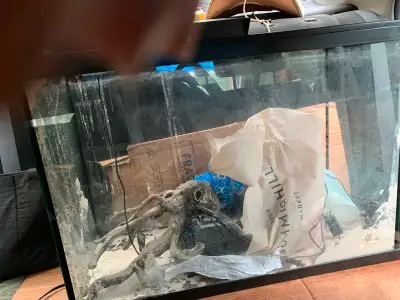 FISH TANK with all the accessaries?included.