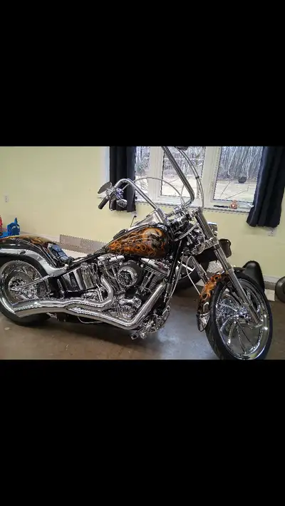 Harley Softail Custom. All HD Accessories, Custom paint, one of a kind a bike . Bike is mint. 18,000...
