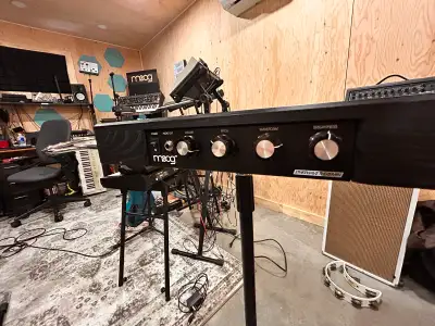 Moog Etherwave Theremin Standard Model ( discontinued), View more