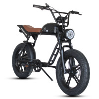 50km Long Range Electric Bike Retro 750w Electric Dirt Bike