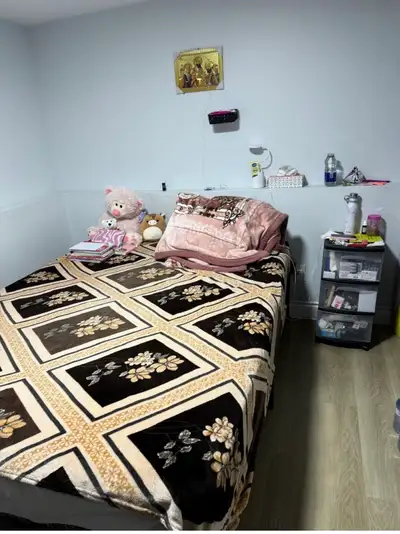 Private room in basement for rent for girls only for $500 all inclusive. Its avaiable from decemeber...