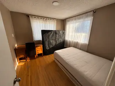Need a girl in a sharing room