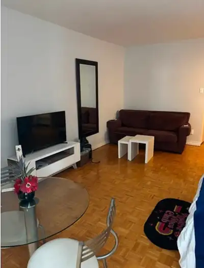Furnished studio apartment in modern tall building. Available until June 30. Central location, area:...