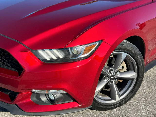 2017 Ford Mustang *No Accident* in Cars & Trucks in Mississauga / Peel Region - Image 4