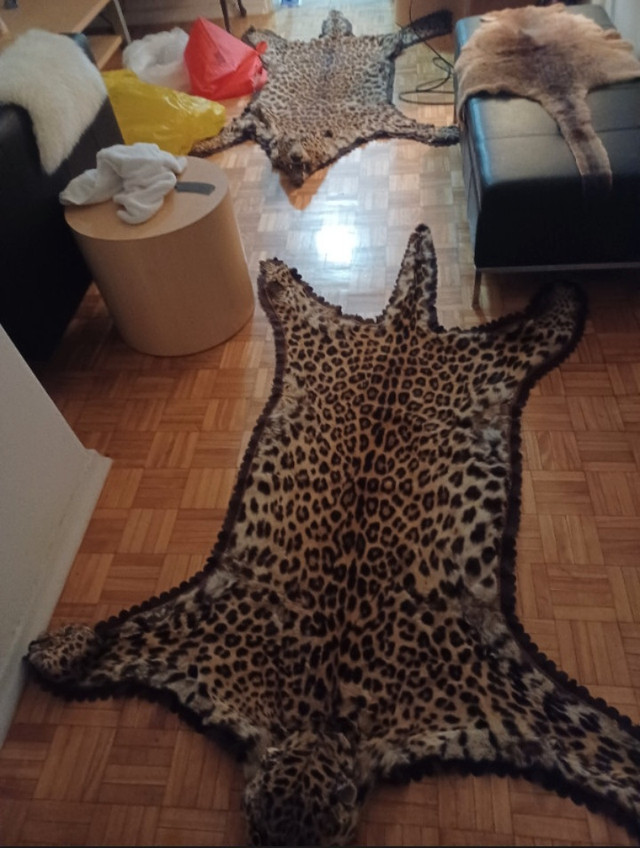 Leopard skin rug in Other in City of Toronto