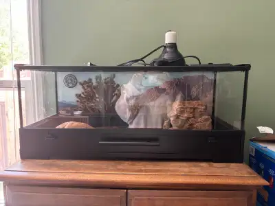 20 gallons tank read for any small lizard