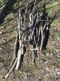 Firewood – Sticks and Twigs