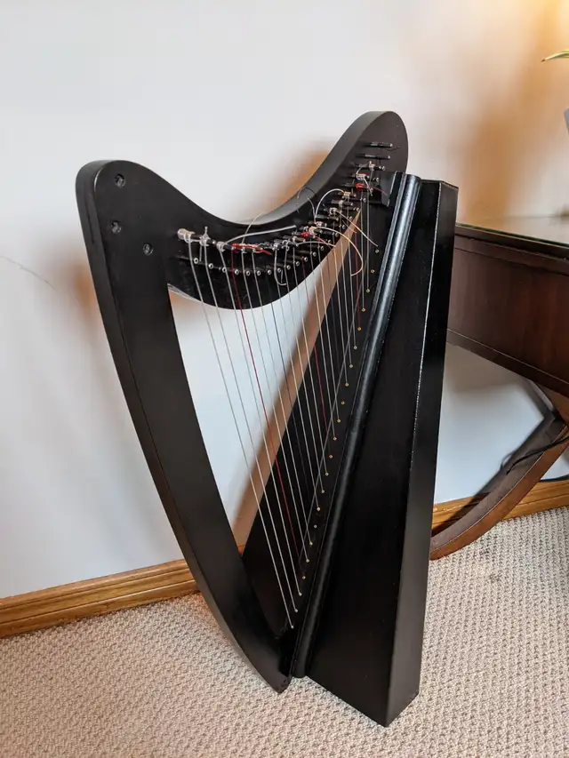 Harp in Other in Markham / York Region - Image 2