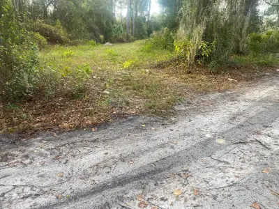 Near the town of Deltona, between Daytona Beach and Orlando. One to Five acres, with water and elect...