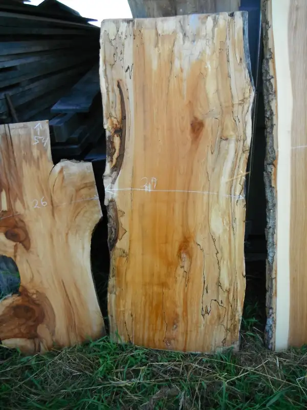Live edge slabs in Hobbies & Crafts in Ottawa - Image 8