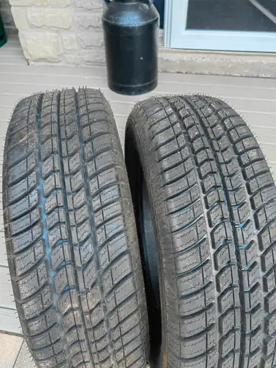Motomaster all seasons, never used, $75 for both