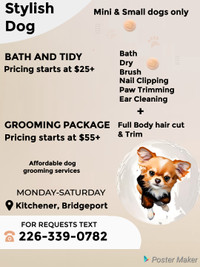 Grooming, boarding and daycare for mini and small dogs
