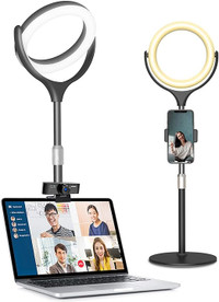 Desk Ring Light with Stand and Phone Holder for Laptop, Computer