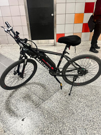 Electric bicycle 