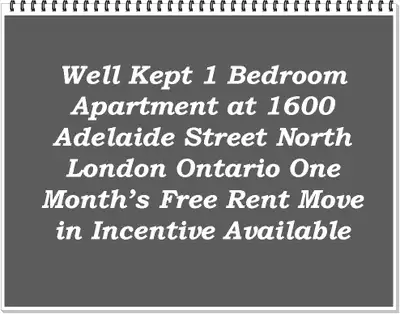 If you’re seeking a well maintained one bedroom apartment in North London at a competitive rate, we...