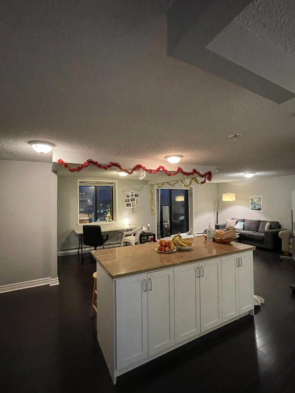 ROOMMATE WANTED - 311 Queen St in Long Term Rentals in Kingston - Image 3