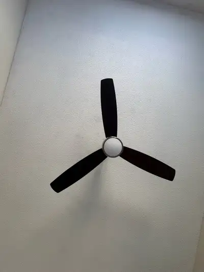 Ceiling fan , View more