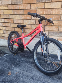 Specialized Hotrock 20