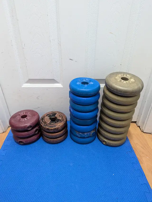 vinyl weight plates $0.50/lbs in Exercise Equipment in Delta/Surrey/Langley - Image 3