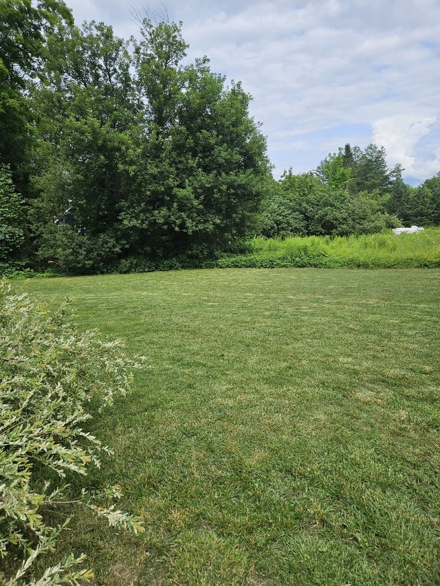 Lawn care ,excavation and landscaping lowest price guarantee!!!! Lawn