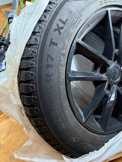 Only 1/2 a winter of use - and i did very minimal driving last year. 200$ EACH tire/rim combo. 800$...