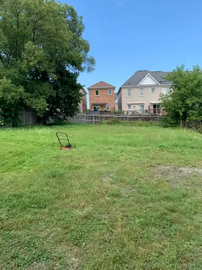 GRASS CUTTING., View more