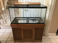 Great Deal ! 40 Gallon Aquarium With Wood Stand Plus More