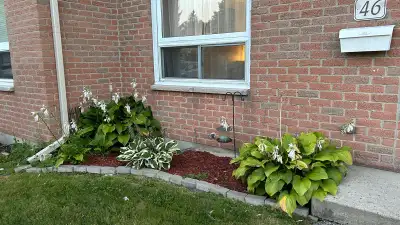 This posting is for a room to rent amongst other male tenants. Available for August tenancy. The roo...
