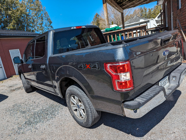 2018 Ford F-150 in Cars & Trucks in Peterborough - Image 2